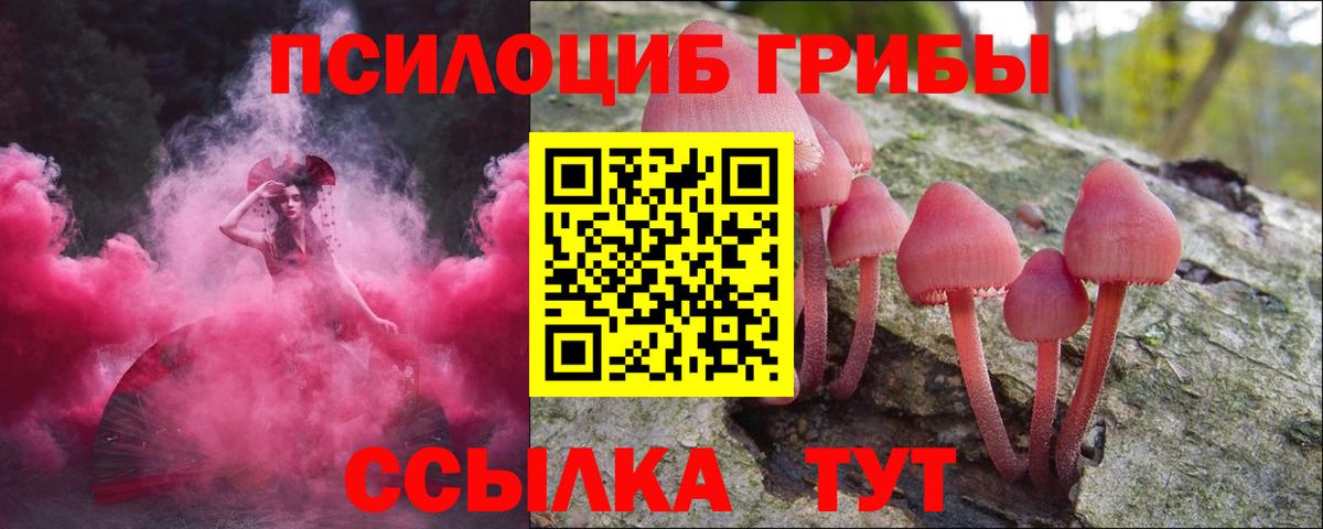 Псилоцибиновые грибы Magic Shrooms Киселёвск